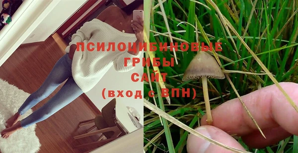 MDMA Premium VHQ Лиски