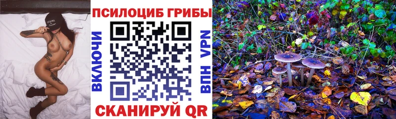 где купить наркотик  Хвалынск  Псилоцибиновые грибы MAGIC MUSHROOMS 